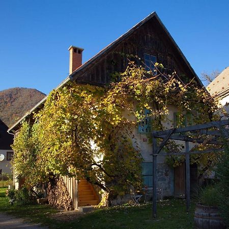 Vintage House Podliparska Guest House Fara Luaran gambar