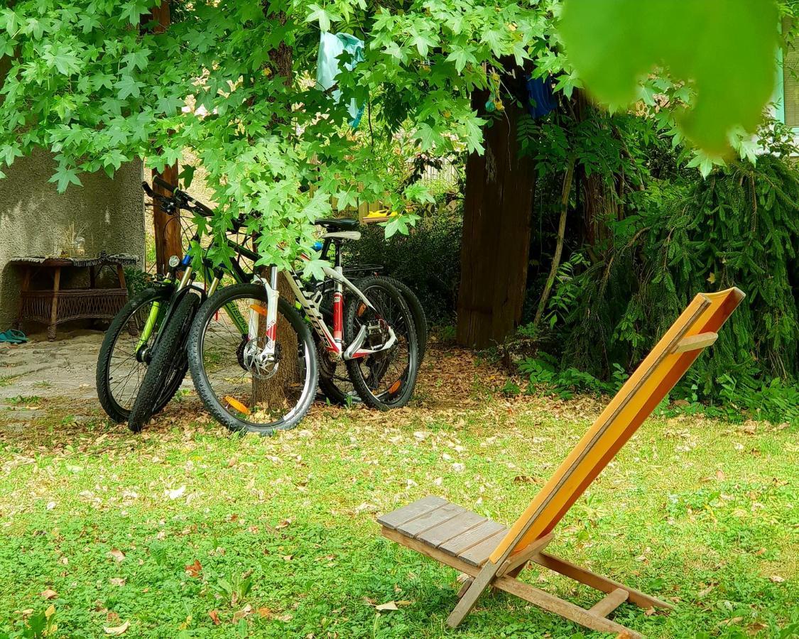 Vintage House Podliparska Guest House Fara Luaran gambar