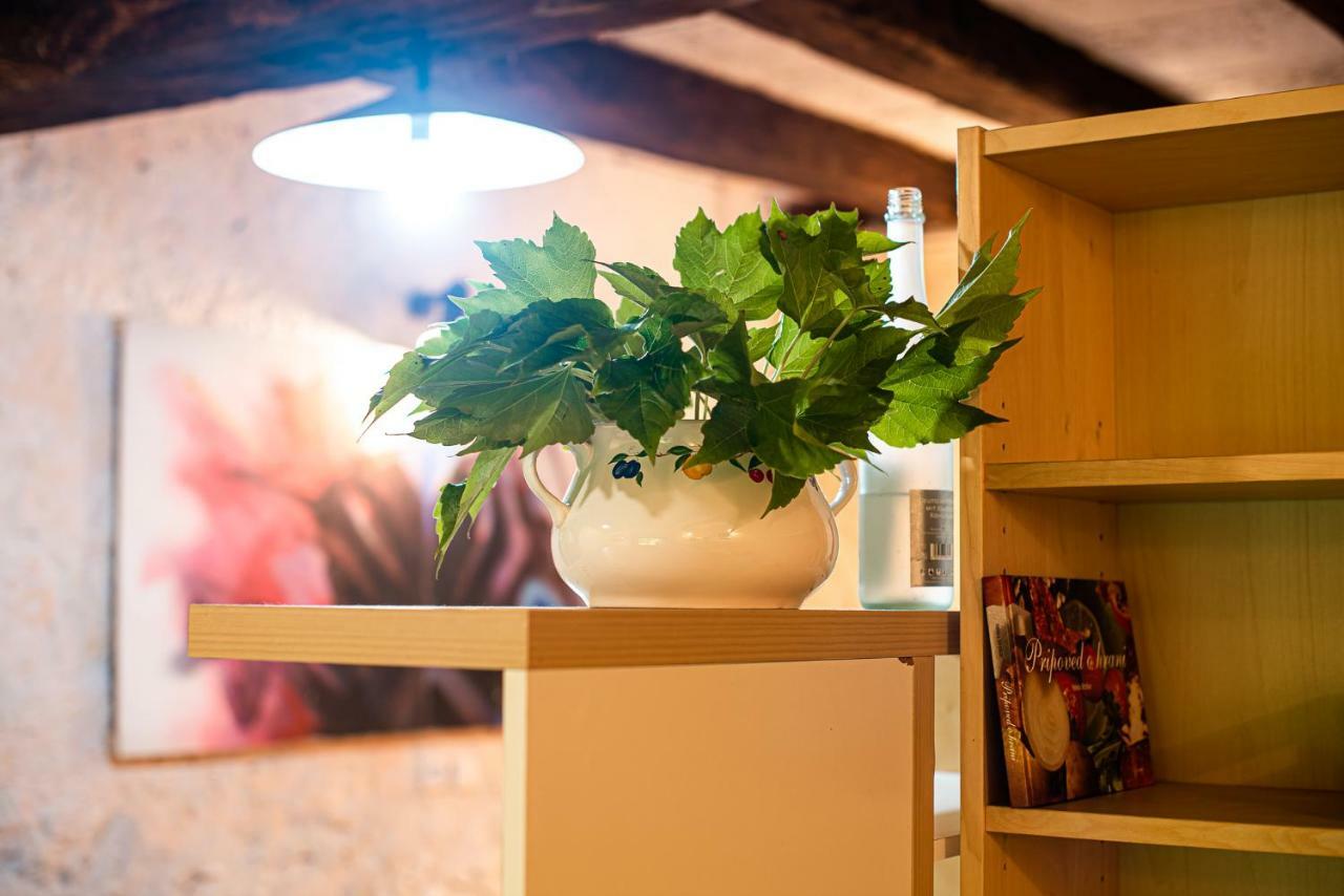 Vintage House Podliparska Guest House Fara Luaran gambar