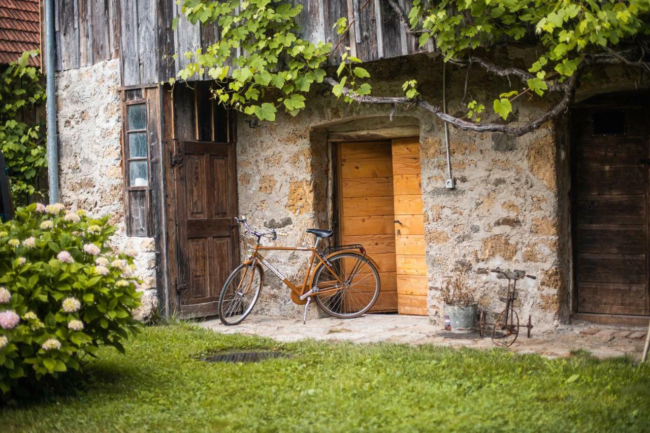 Vintage House Podliparska Guest House Fara Luaran gambar