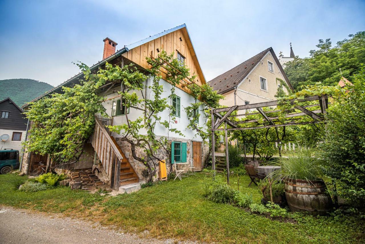 Vintage House Podliparska Guest House Fara Luaran gambar