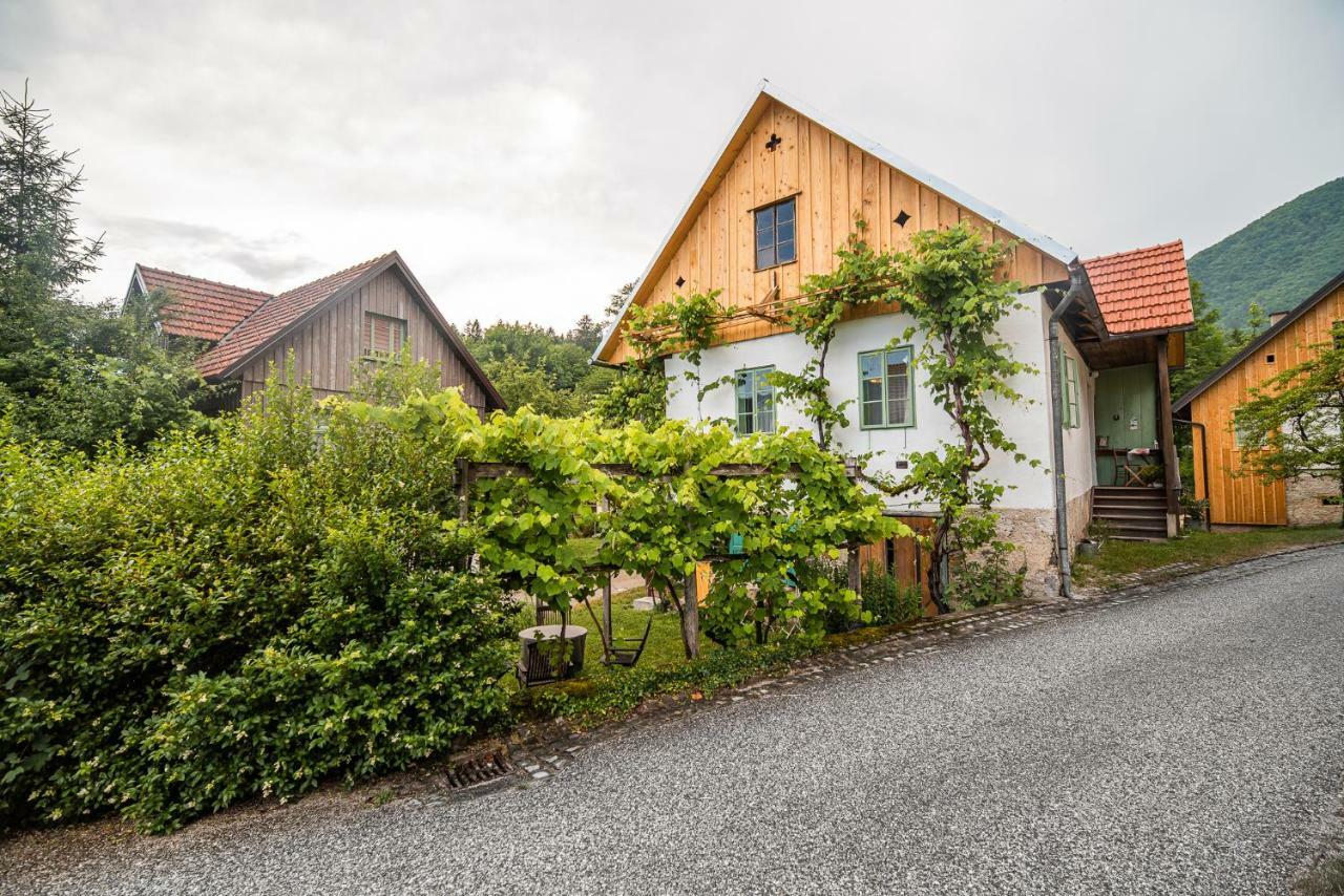 Vintage House Podliparska Guest House Fara Luaran gambar
