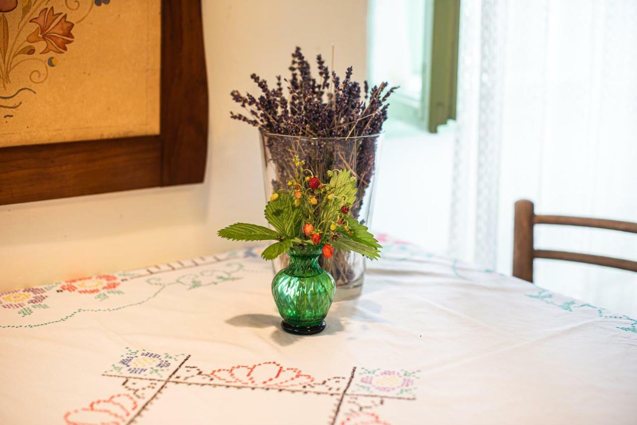 Vintage House Podliparska Guest House Fara Luaran gambar
